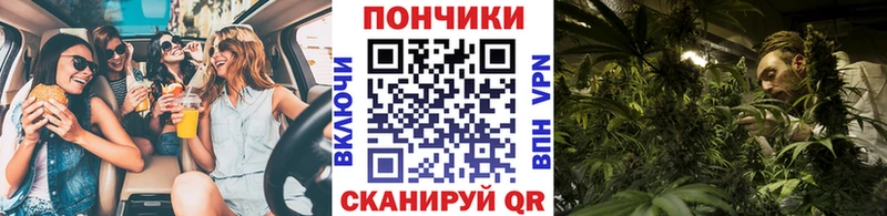 Каннабис ГИДРОПОН  закладки  Полтавская 